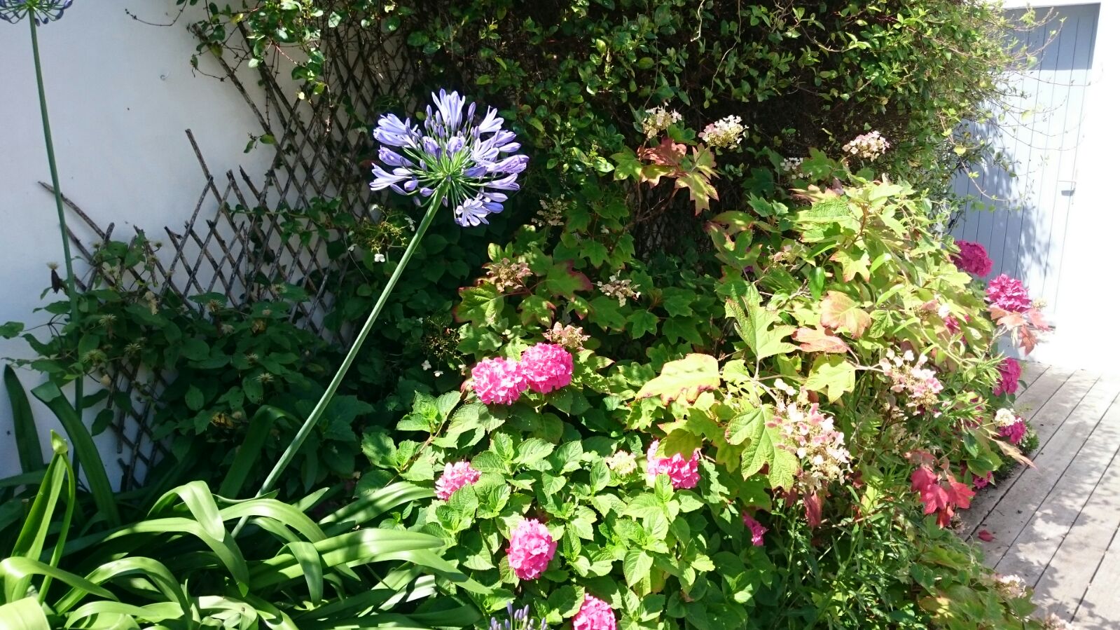 Img 20170709 wa0001 1