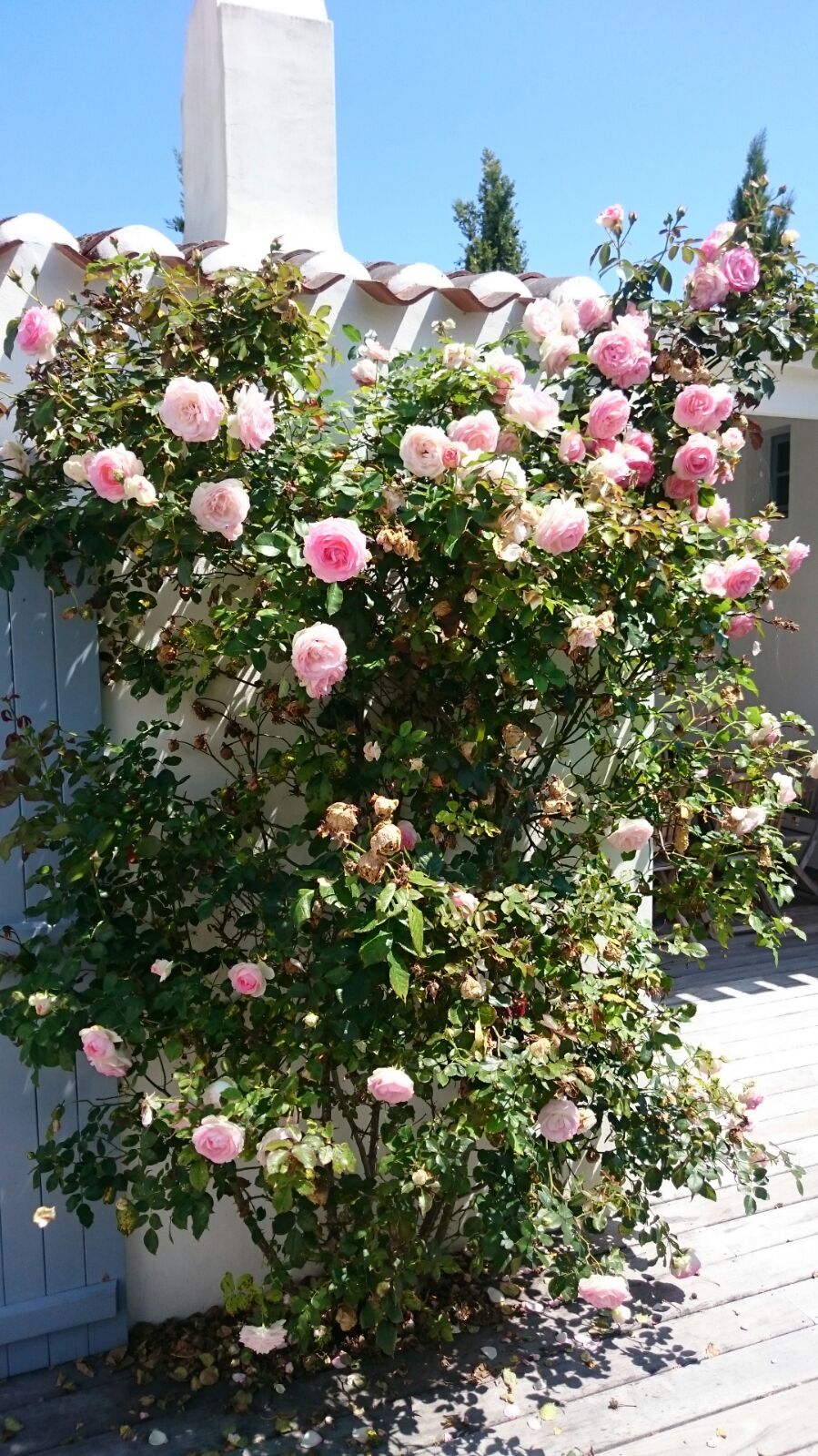 Img 20170709 wa0002